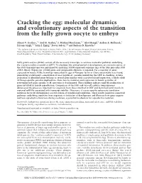 Molecular Dynamics and Evolutionary Aspects of the Transition from the Fully Grown Oocyte to Embryo