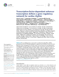 Transcription-Factor-Dependent Enhancer Transcription Defines A