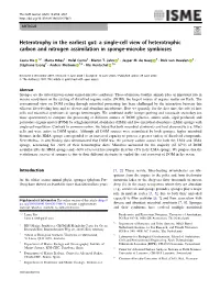 A Single-Cell View of Heterotrophic Carbon and Nitrogen Assimilation in Sponge-Microbe Symbioses