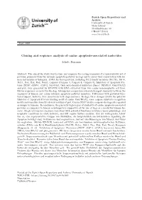 Cloning and Sequence Analysis of Canine Apoptosis-Associated Molecules