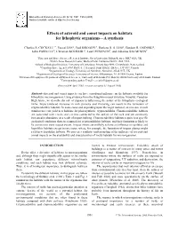 Effects of Asteroid and Comet Impacts on Habitats for Lithophytic Organisms—A Synthesis