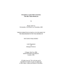 Rutger Aldo Vos Doctorandus, Universiteit Van Amsterdam, 2000 THESIS SUBMITTED in PARTIAL FULFILLMENT of the REQUIREMENTS for TH
