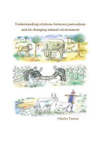 Understanding Relations Between Pastoralism and Its Changing Natural Environment