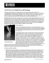 A Brief Overview of Rabbit Survey Methodology