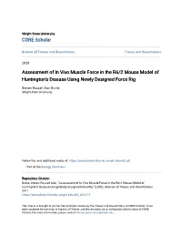 Assessment of in Vivo Muscle Force in the R6/2 Mouse Model of Huntington's Disease Using Newly Designed Force Rig