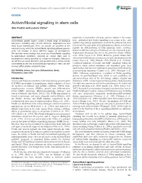 Activin/Nodal Signalling in Stem Cells Siim Pauklin and Ludovic Vallier*
