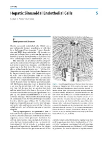Hepatic Sinusoidal Endothelial Cells 5