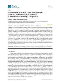 Neuromodulators and Long-Term Synaptic Plasticity in Learning and Memory: a Steered-Glutamatergic Perspective