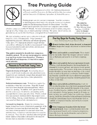 Tree Pruning Guide