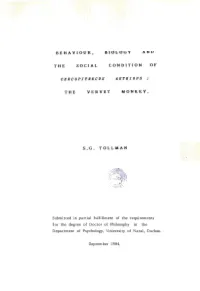 Behaviour, the Social Cercopithecus Biology