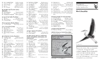 Bird Checklist