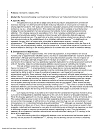 Effect of a Brief Memory Updating Intervention On