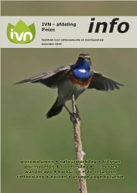 IVN - Afdeling Peize