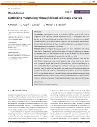 Optimizing Morphology Through Blood Cell Image Analysis