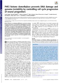 PHF2 Histone Demethylase Prevents DNA Damage and Genome Instability by Controlling Cell Cycle Progression of Neural Progenitors