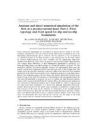 Analysis and Direct Numerical Simulation of the Flow at a Gravity