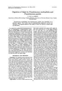 Digestion of Algin by Pseudomonas Maltophilia and Pseudomonas Putida V
