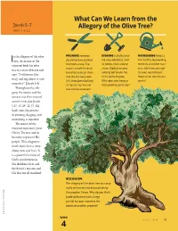 What Can We Learn from the Allegory of the Olive Tree?