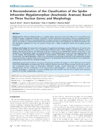 A Reconsideration of the Classification of the Spider Infraorder Mygalomorphae (Arachnida: Araneae) Based on Three Nuclear Genes and Morphology