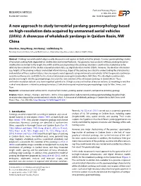 A New Approach to Study Terrestrial Yardang Geomorphology Based on High-Resolution Data Acquired by Unmanned Aerial Vehicles