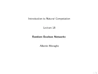 Introduction to Natural Computation Lecture 18 Random Boolean