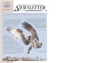 Spring 2005 the DENNIS PULESTON OSPREY FUND : SPRING 2005 by DAVID SHORE