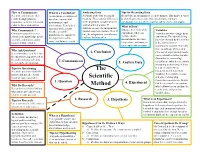 The Scientific Method Is a It Is a Possible Answer and Logical Problem-Solving Explanation to Your Question Process Used by Scientists