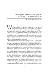 Tom Maguire: 'An Under-Paid Agitator' in The