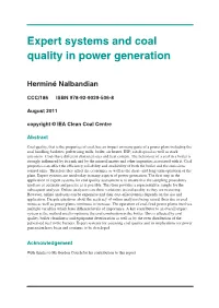 Expert Systems and Coal Quality in Power Generation