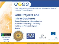 Grid Projects and Infrastructures