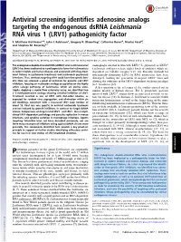 (LRV1) Pathogenicity Factor