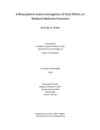 A Rhizosphere-Scale Investigation of Root Effects on Wetland Methane Dynamics