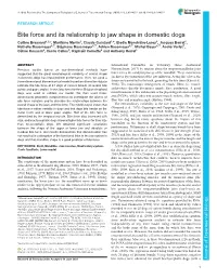 Bite Force and Its Relationship to Jaw Shape