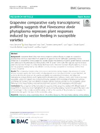 Grapevine Comparative Early Transcriptomic Profiling Suggests