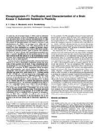 Phosphoprotein Fl: Purification and Characterization of a Brain Kinase C Substrate Related to Plasticity