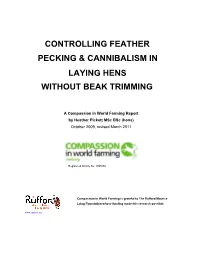 Controlling Feather Pecking and Cannibalism in Laying Hens Without