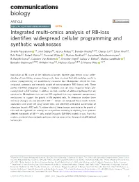 Integrated Multi-Omics Analysis of RB-Loss Identifies Widespread