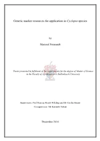Genetic Marker Resources for Application in Cyclopia Species