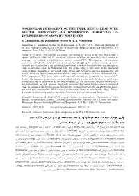 MOLECULAR PHYLOGENY of the TRIBE HEDYSAREAE with SPECIAL REFERENCE to ONOBRYCHIS (FABACEAE) AS INFERRED from Nrdna ITS SEQUENCES S