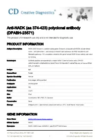 Anti-NADK (Aa 374-423) Polyclonal Antibody (DPABH-23571) This Product Is for Research Use Only and Is Not Intended for Diagnostic Use