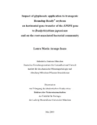 Impact of Glyphosate Application to Transgenic Roundup Ready