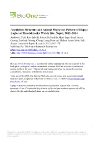 Population Structure and Annual Migration Pattern of Steppe Eagles