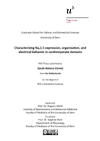 Characterizing Nav1.5 Expression, Organization, and Electrical Behavior in Cardiomyocyte Domains