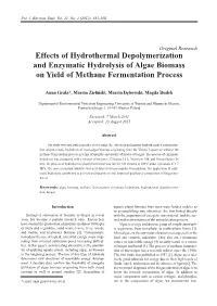 Effects of Hydrothermal Depolymerization and Enzymatic Hydrolysis of Algae Biomass on Yield of Methane Fermentation Process