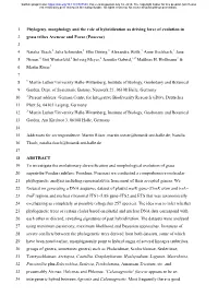 Phylogeny, Morphology and the Role of Hybridization As