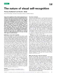 The Nature of Visual Self-Recognition
