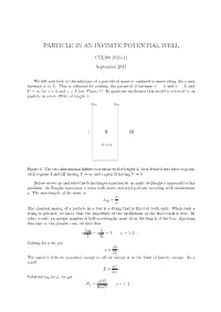 Particle in an Infinite Potential Well