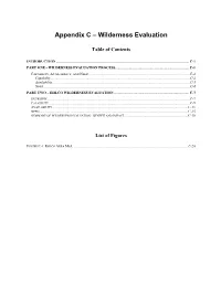 Appendix C – Wilderness Evaluation