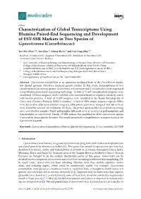 Characterization of Global Transcriptome Using Illumina Paired-End Sequencing and Development of EST-SSR Markers in Two Species of Gynostemma (Cucurbitaceae)