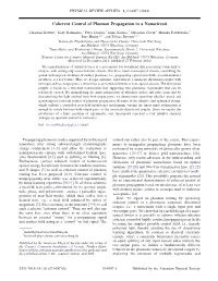 Coherent Control of Plasmon Propagation in a Nanocircuit